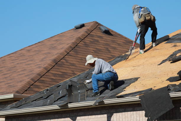Best Gutter Replacement  in Ranlo, NC